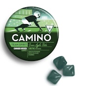 Camino - Team Spirit Green Apple State Gummies - 100mg