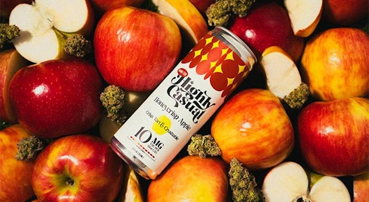Hang Ten - Honeycrisp Apple Seltzer - 10mg