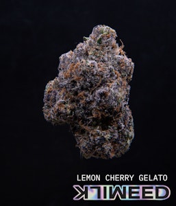 MILKWEED - Lemon Cherry Gelato | Flower | 7g | Milkweed