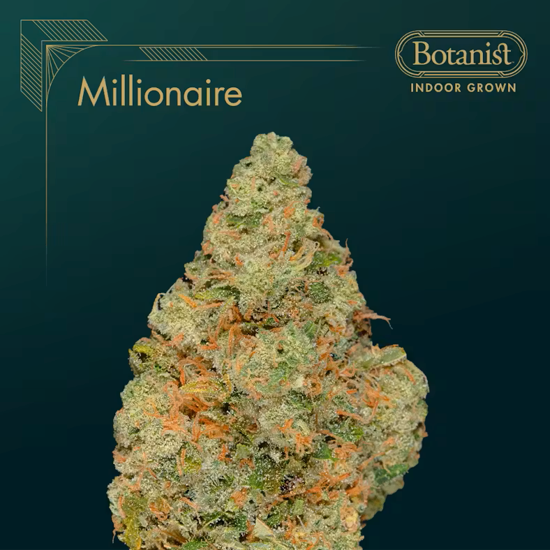 [REC] Botanist | Millionaire | 3.5g Flower
