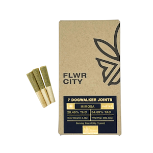 FLWR CITY COLLECTIVE - FLWR City - Mimosa - 7pk Dog Walkers Joints - .35g