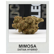 Mimosa