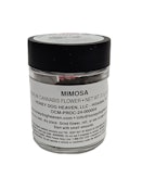 Mimosa | Flower | 3.5g | Honey Dog Heaven