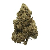 Mimosa