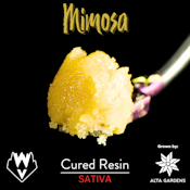 Mimosa, Cured Resin Badder