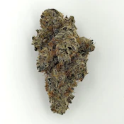 Mind Melt | 3.5g