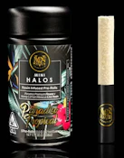 Maven .6g Paradiso Tropical Mini Halo Infused Preroll 5pk