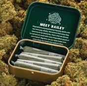Night Owl Haze | 5 Pack | Pre-Rolls |1.75g | Dogwalkers (Play)