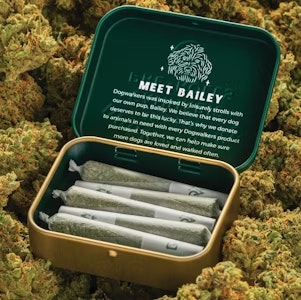 DOGWALKERS - Fabs | 5 Pack | Pre-Rolls | 1.75g | Dogwalkers | Sit