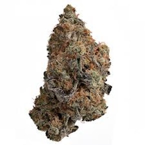 Amsterdam | Mint Chocolate Chip | 3.5g Prepack