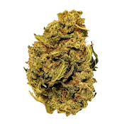 GP Mint Jelly | 3.5g