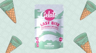 Gelato | Last Bite Cones | Mint Chocolate