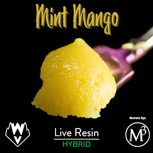 WILLAMETTE VALLEY ALCHEMY - Mint Mango, Live Resin