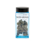 ORANGE CREAM CAKE (SMALLS) 14G - MISS GRASS