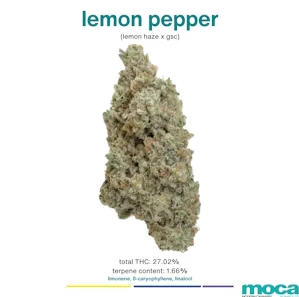 MOCA - MOCA | Lemon Pepper | Indoor Flower | 1/8oz Main Image