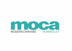 Moca Sour Haze  SMALLS 1/4 24%