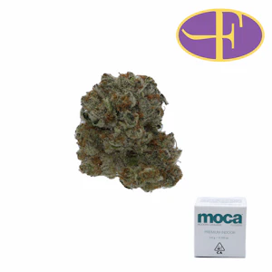 Moca - Artifical Red