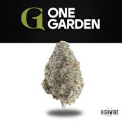 Modified MacBerry Moonshine 1/8th