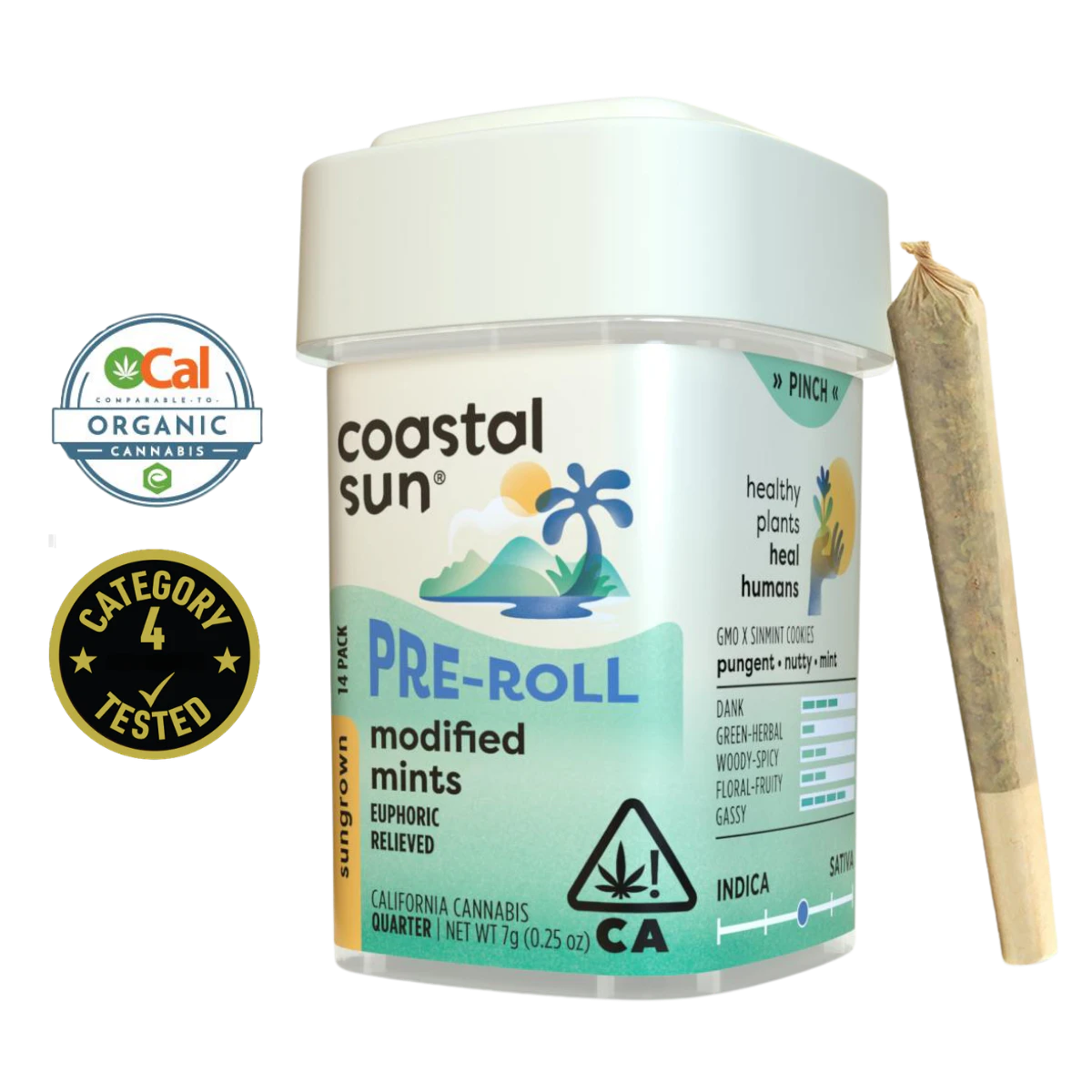 Coastal Sun - Modified Mints (H) | .5g 14pk Sun Grown Preroll | Coastal Sun Main Image