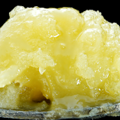 Wojo | (1G) Live Rosin | Modified Punch