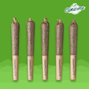 Modified Haze Shorties H 26118