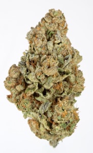 That Good Good Farm - That Good Good Farm- Molotov Cocktail 3.5g