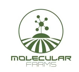 Molecular Farms - Space Gas 3.5 Gram Jar by Molecular Farms