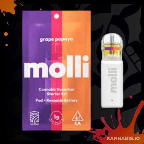 Molli - Molli | 1g Pod | AIO | Grape Papaya Main Image