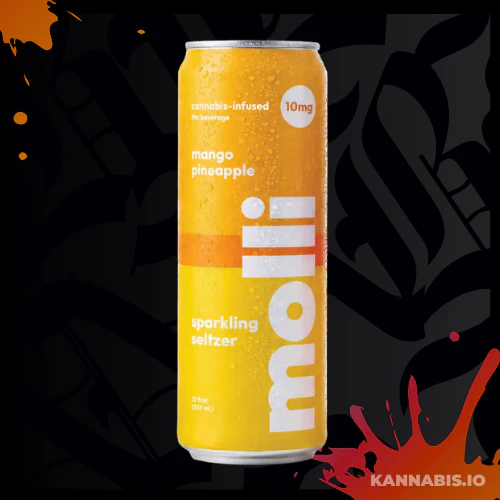 Molli - Molli Mango Pineapple Fruit Seltzer | 10mg | 12 fl oz Main Image