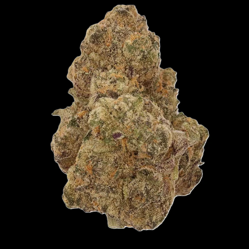 MJ Verdant - Molotov Cocktail - Buds Main Image