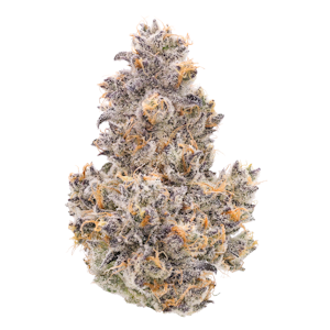 FIG FARMS - Momochi - 3.5g (IH) - Fig Farms