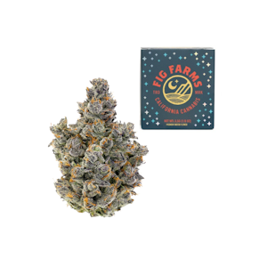 FIG FARMS - Momochi (I-H) | 3.5g Premium Indoor | Fig Farms