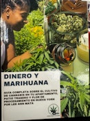 Dinero Y Marihuana