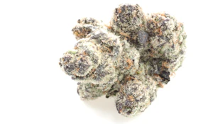Ball Family Farms - Money Making Mitch - 4g Flower Mylar