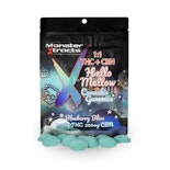Blueberry Bliss 1:1 THC:CBN 200mg Gummies (10x20mg) - MONSTER XTRACTS