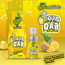 moods - MOODS | PINEAPPLE TREE LIQUID DAB | TINCTURE | 700MG Main Image