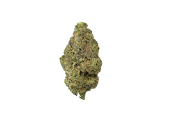 Coastal Roots | Moon Runtz | 3.5g Flower | 3.5g Total [H]