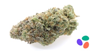 Moon Valley Cannabis - Gotti Beltz - Living Soil Indoor - Hybrid - 3.5g