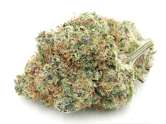 Moon Valley Cannabis - Neon Panther - Living Soil Indoor - Hybrid - 3.5g