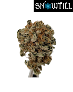 Snowtill - Moon Boots