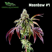 [REC] Green Lightning | Moonbow #7 | 3.5g Flower