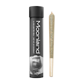 Moonland Mellow 1g Joint | Government Oasis (I)