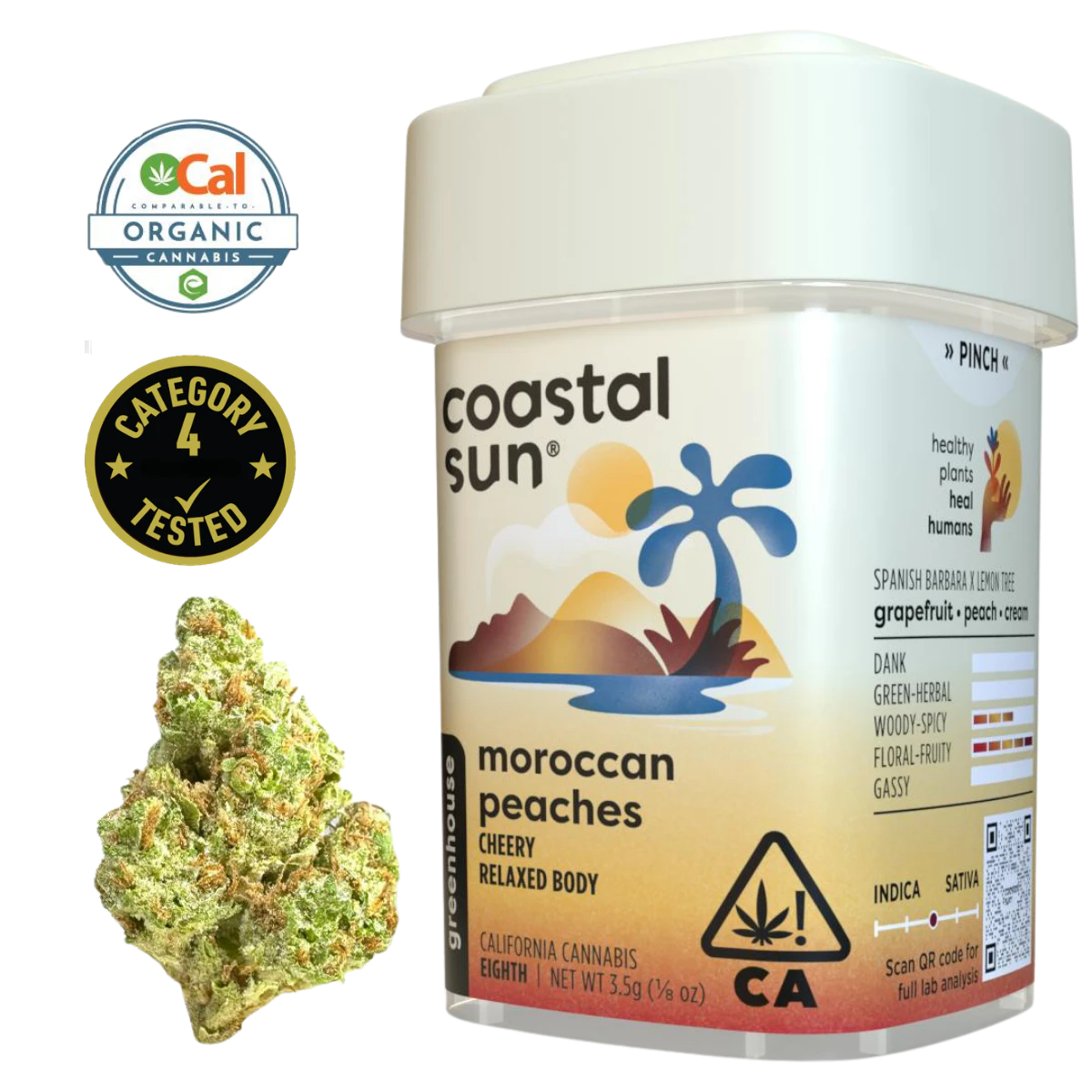 Coastal Sun - Moroccan Peaches (H) | 3.5g Greenhouse Flower | Coastal Sun Main Image
