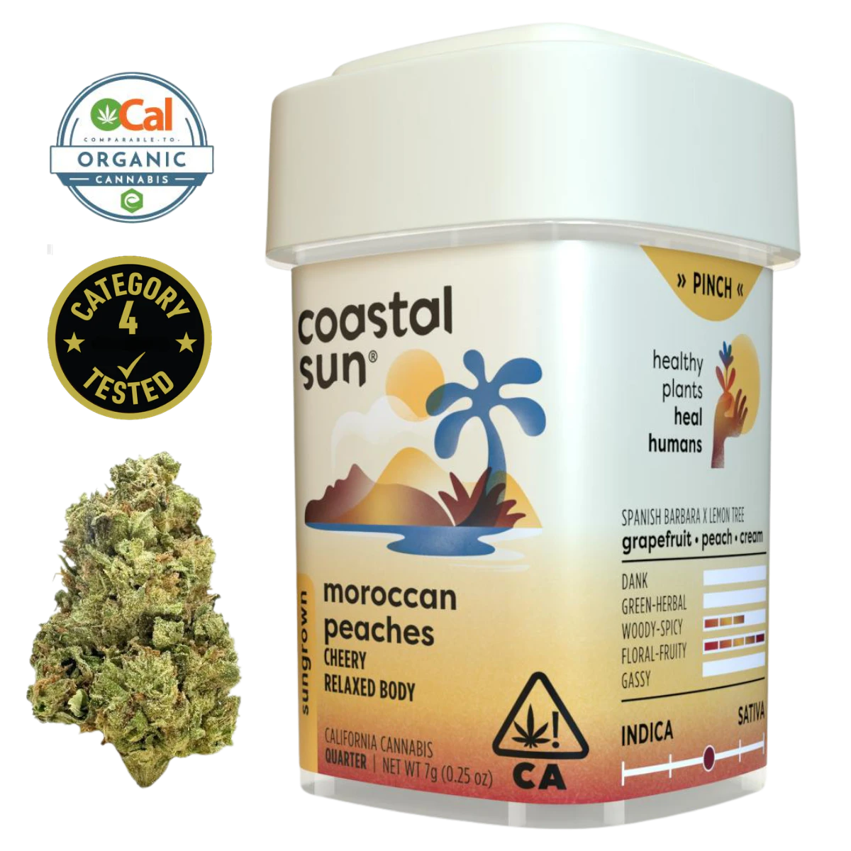 Coastal Sun - Moroccan Peaches (H) | 7g Sun Grown Flower | Coastal Sun Main Image