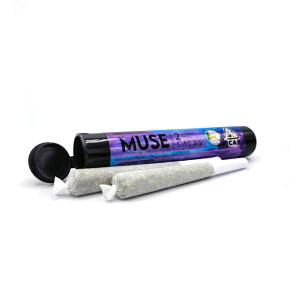 Muse - Next Day - Mother's Mazar x SFV OG - 2 pack Infused Preroll (1.5g) Main Image