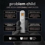 Problem Child Disposable - .5 gram