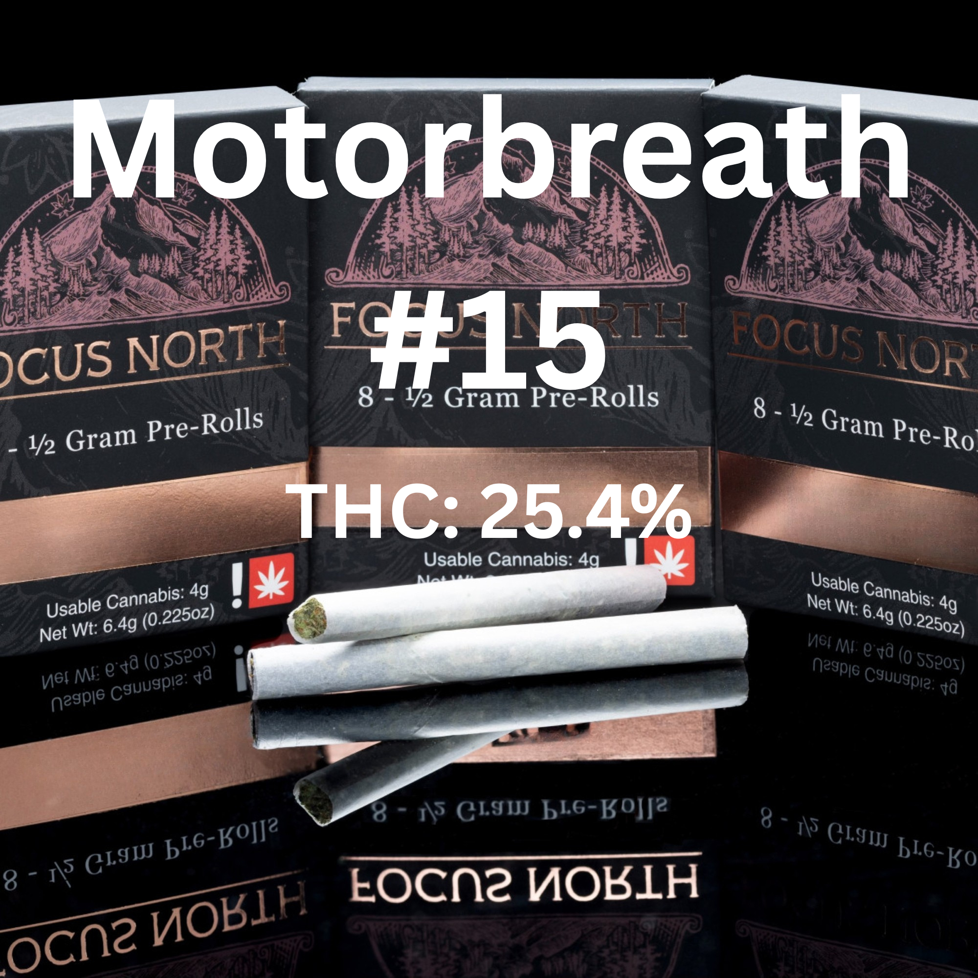 Focus North | Preroll 8pk/4g [I] | Motorbreath #15