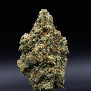 Jar Co - Jar Co. | MotorBreath | 3.5g Flower | 3.5g Total | [I]