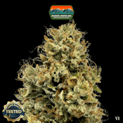 Rugged Roots | Motorbreath | 3.5g