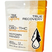True North- Motown Mango 1:1 THC/CBD Gummies